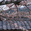 京都の写真06